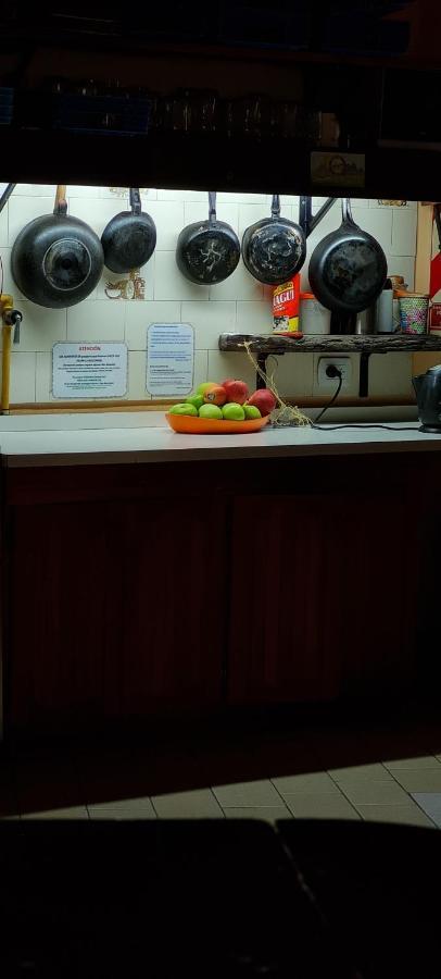 La Casa Del Arbol - Hostel El Bolsón Zewnętrze zdjęcie