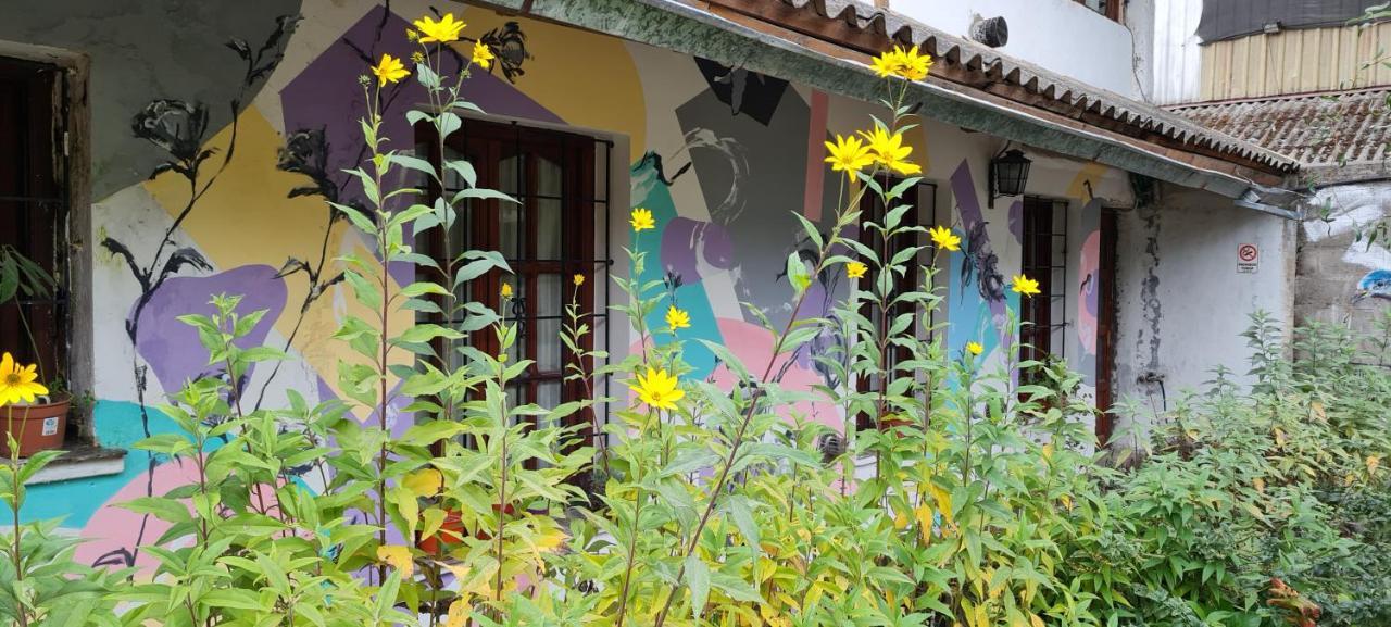 La Casa Del Arbol - Hostel El Bolsón Zewnętrze zdjęcie