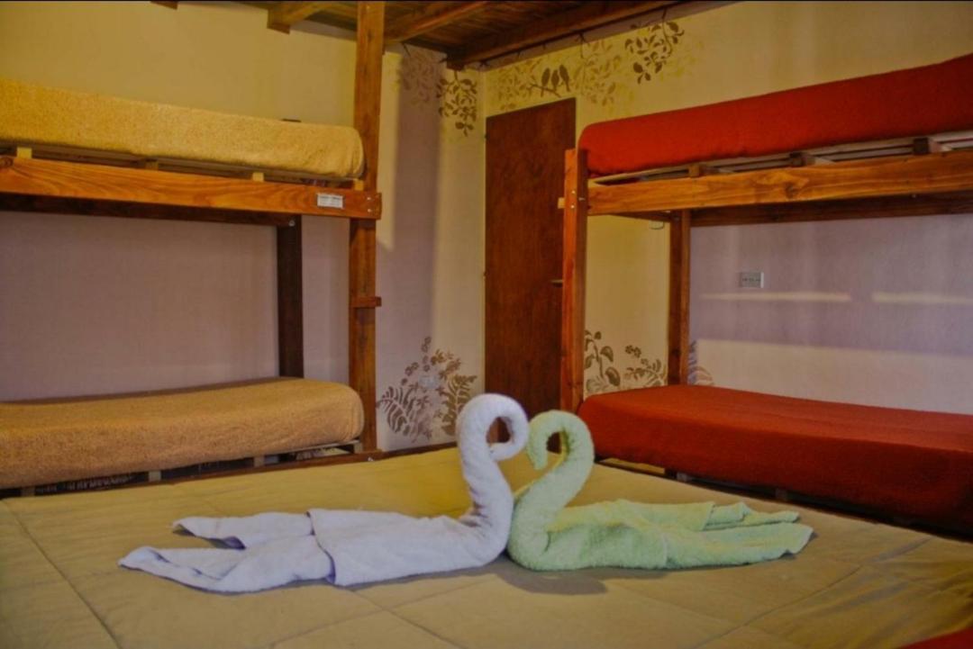La Casa Del Arbol - Hostel El Bolsón Zewnętrze zdjęcie